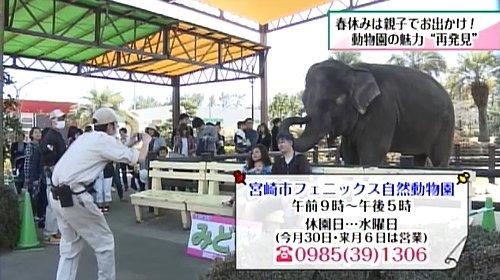 フェニックス自然動物園