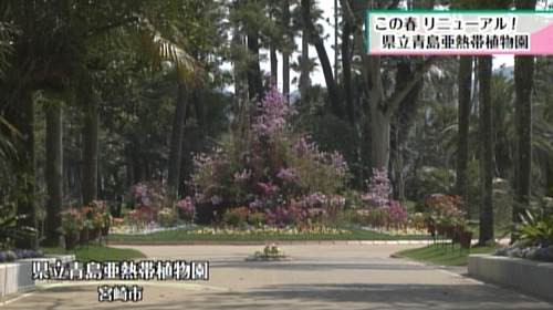 写真：青島亜熱帯植物園