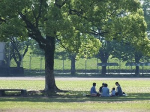 木陰で団欒