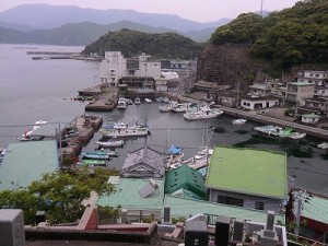 人口、約１０００人の漁業の町　島野浦