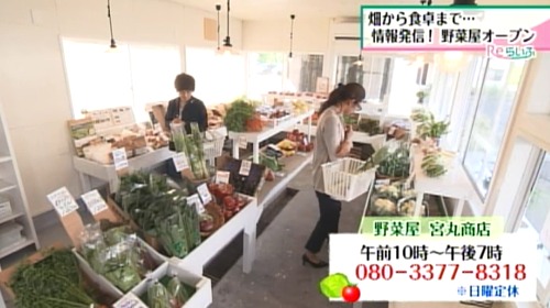 野菜屋 宮丸商店 店内