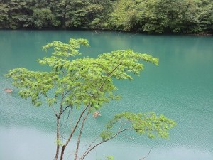 時がゆっくりと流れる・・・。神様がくれた休息の時間かも・・・。