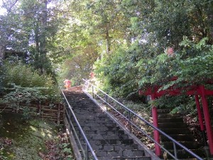 澄んだ空気、水、生きる為に必要不可欠なものが溢れている