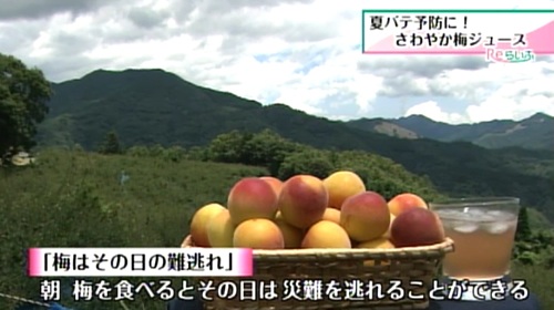 梅はその日の難逃れ