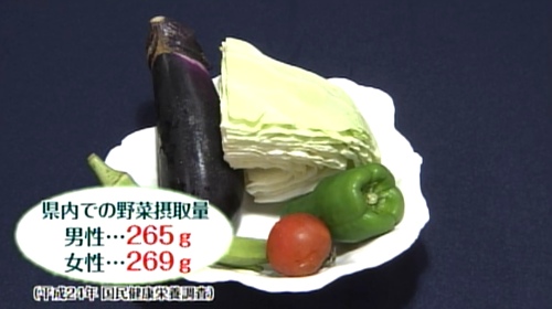 宮崎県の野菜摂取量平均