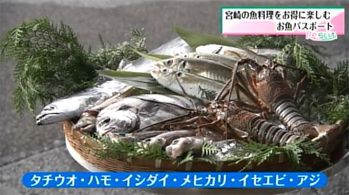 宮崎どれのお魚