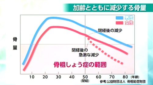 骨量の減少