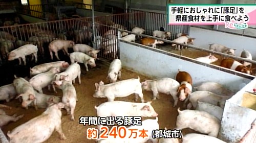 年間に生産される豚足