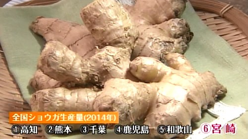 宮崎県の生姜生産量全国第６位