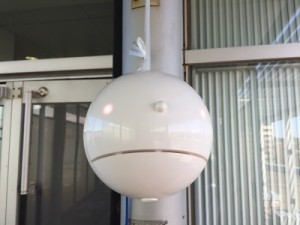 ポールンロボ。目の色で飛散の様子がわかる。今は白なのでほぼなし