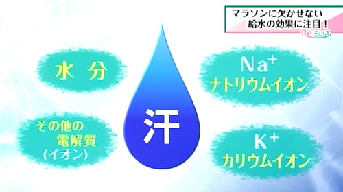 発汗で失われる成分