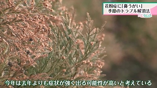 今年は昨年よりも症状が強く出る