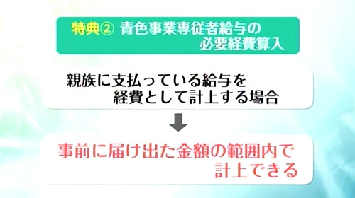 青色事業専従者給与