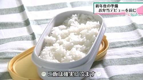 ご飯は確実に冷ます