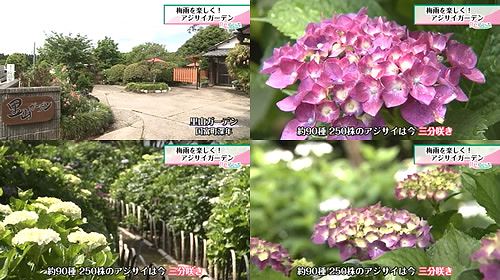里山ガーデン