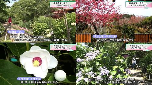 里山ガーデン
