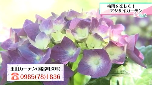 お問合せ