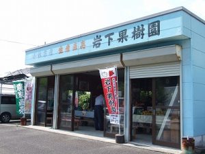 小林市種子田、岩下果樹園の直売所