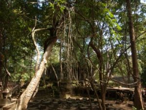 天空の城ラピュタのモデル、ベン・メリア遺跡