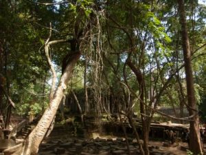 天空の城ラピュタのモデル、ベン・メリア遺跡