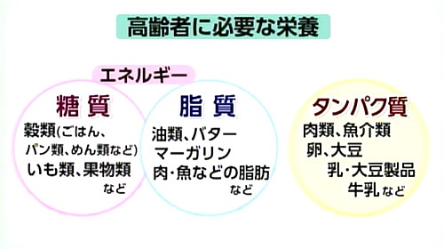 高齢者に必要な栄養素