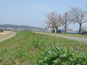 桜、木々の緑、川の流れなど、豊かな自然が季節を告げる。