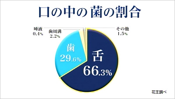 口の中の菌の割合