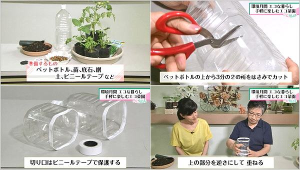 ペットボトルで野菜を作る