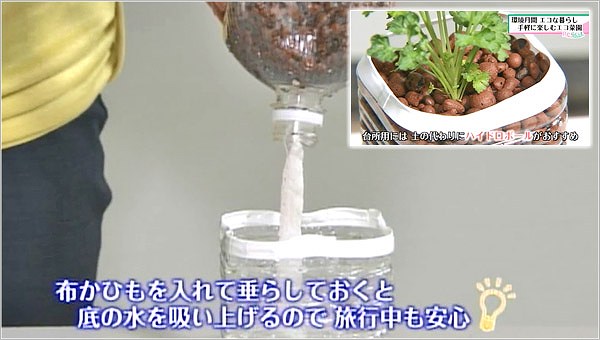 ペットボトルで野菜を作る時の工夫