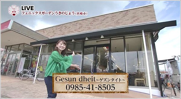 Gesun dheit～ゲズンタイト～