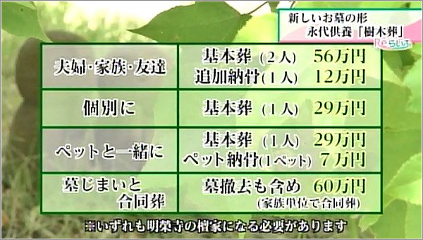 樹木葬4種類のプラン