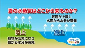 植物や水面から蒸発が起こる