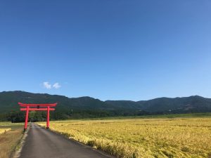 えびのの景色もこんなにきれい♪