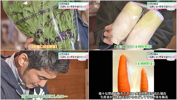 「未利用野菜」の販売