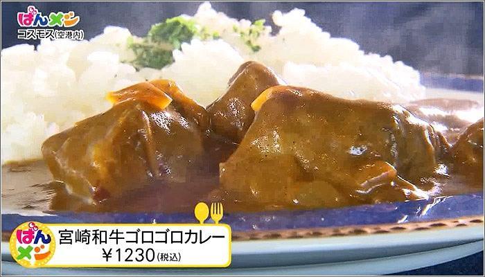 04 宮崎和牛ゴロゴロカレー